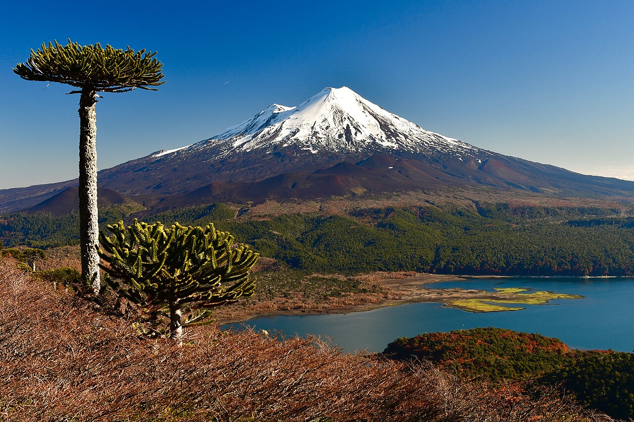 Llaima and Conguillío Lake